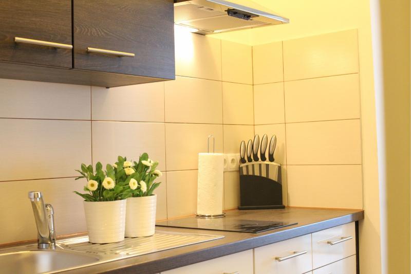 Apartment Diefenbachgasse *